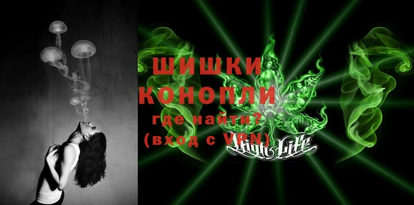 гидра Касимов