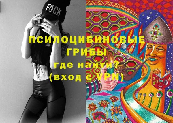 ешки Каменногорск